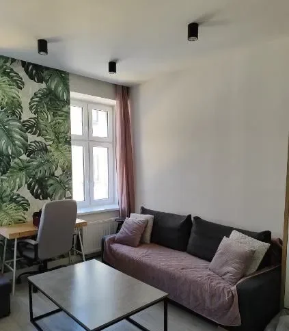 Przytulna i jasna kawalerka 35 m² na wynajem - zdjęcie 2