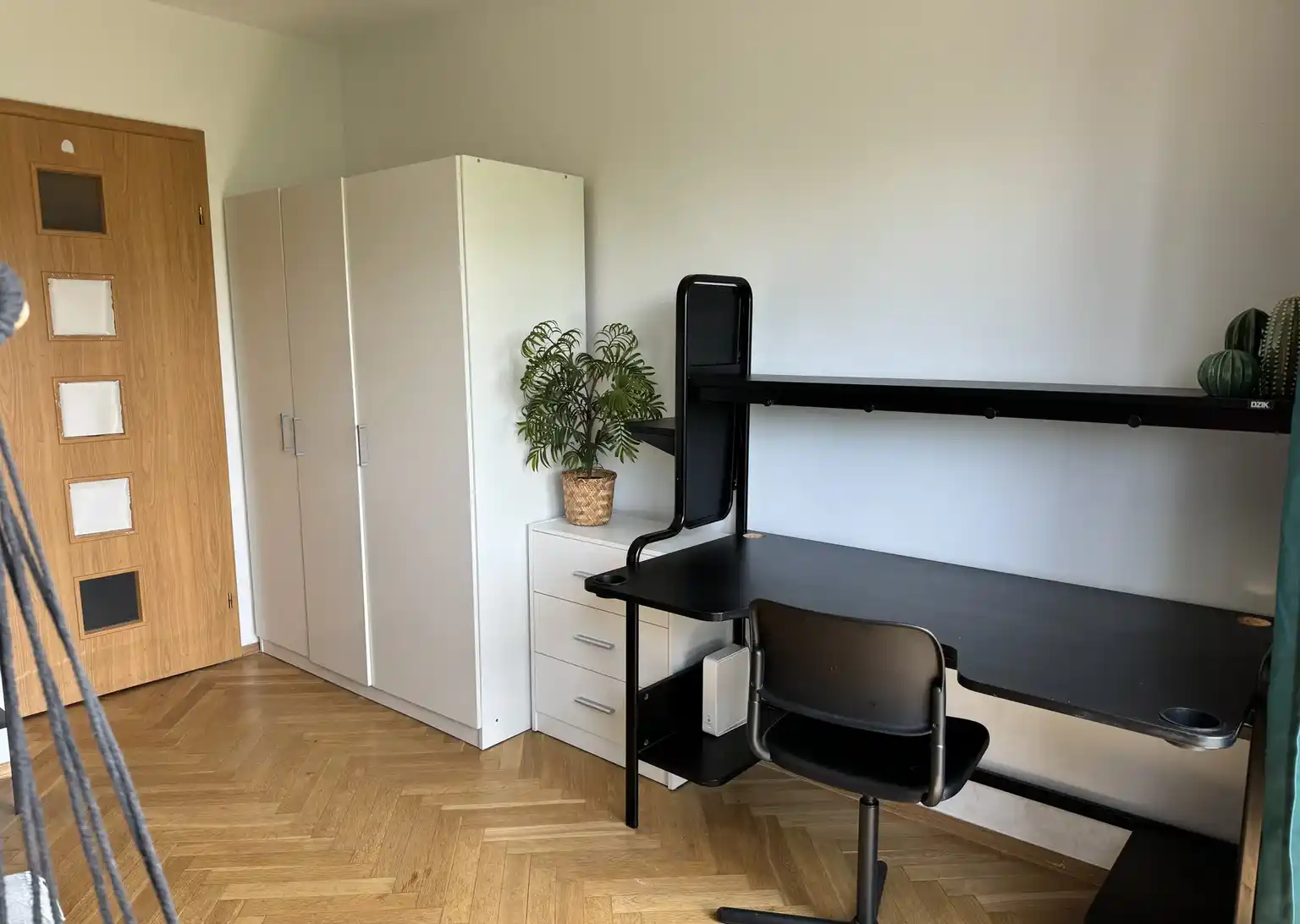 Obok AWF, 10 min. metro | tramwaj | las bielański UKSW - zdjęcie 8