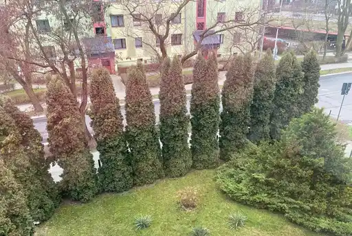 Przestronne i przytulne z miejscem park., przy parku "Na Zdrowiu" - zdjęcie 7