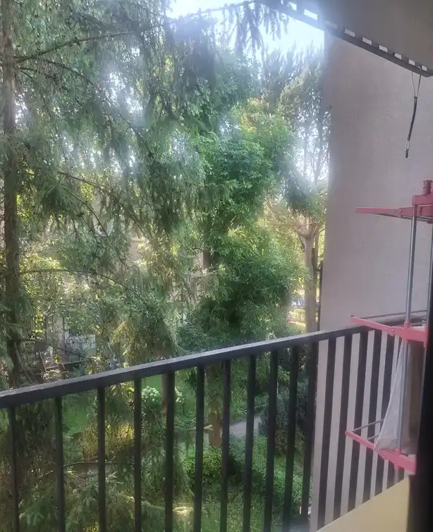 3 pokojowe mieszkanie na Brynów Orkana - zdjęcie 3