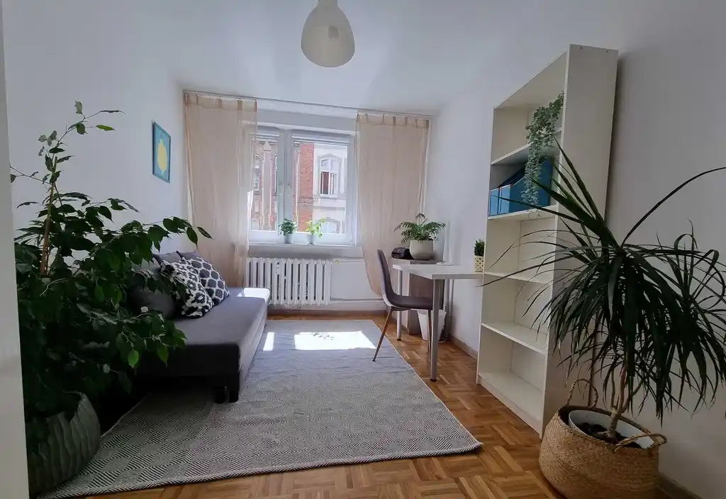 Pokój jednoosobowy na Starym Mieście we Wrocławiu