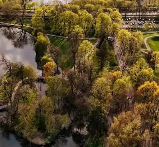 LUX 2 pokoje przy parku - zdjęcie 5