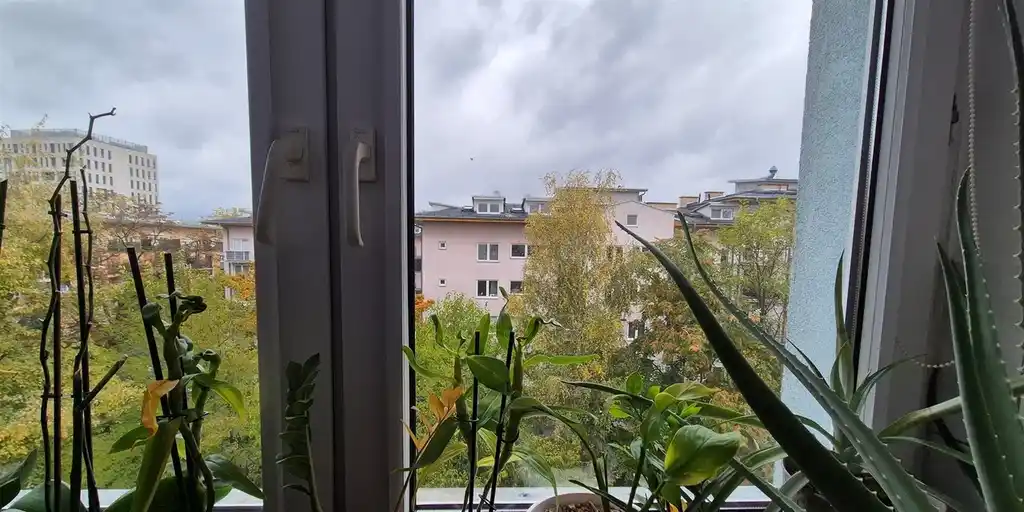 Pokój w ścisłym centrum, obok Arkad, mieszkanie tylko z 1 osobą - zdjęcie 6