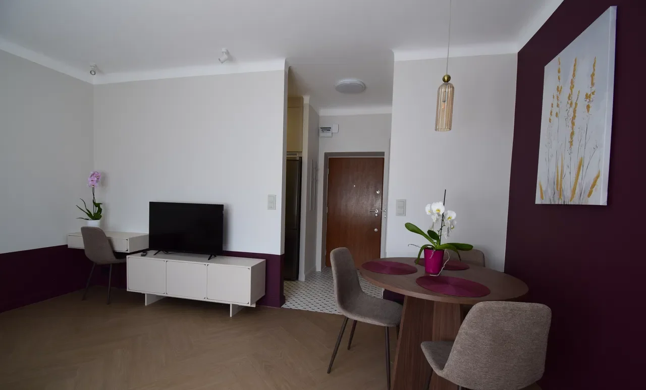 Komfortowa, świeżo wyremontowana kawalerka w centrum – 25 m²