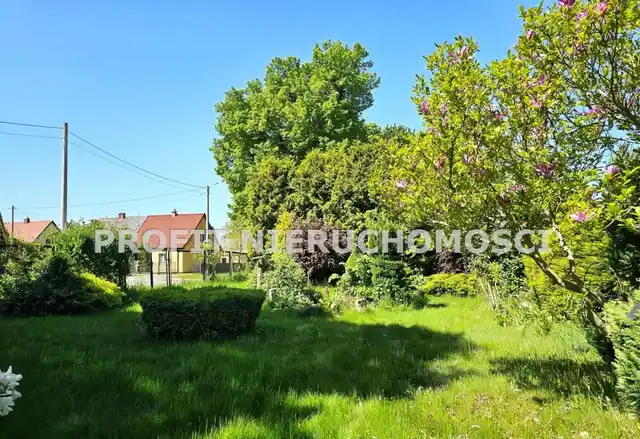 Bezczynszowe, niezależne mieszkanie w domu - zdjęcie 3
