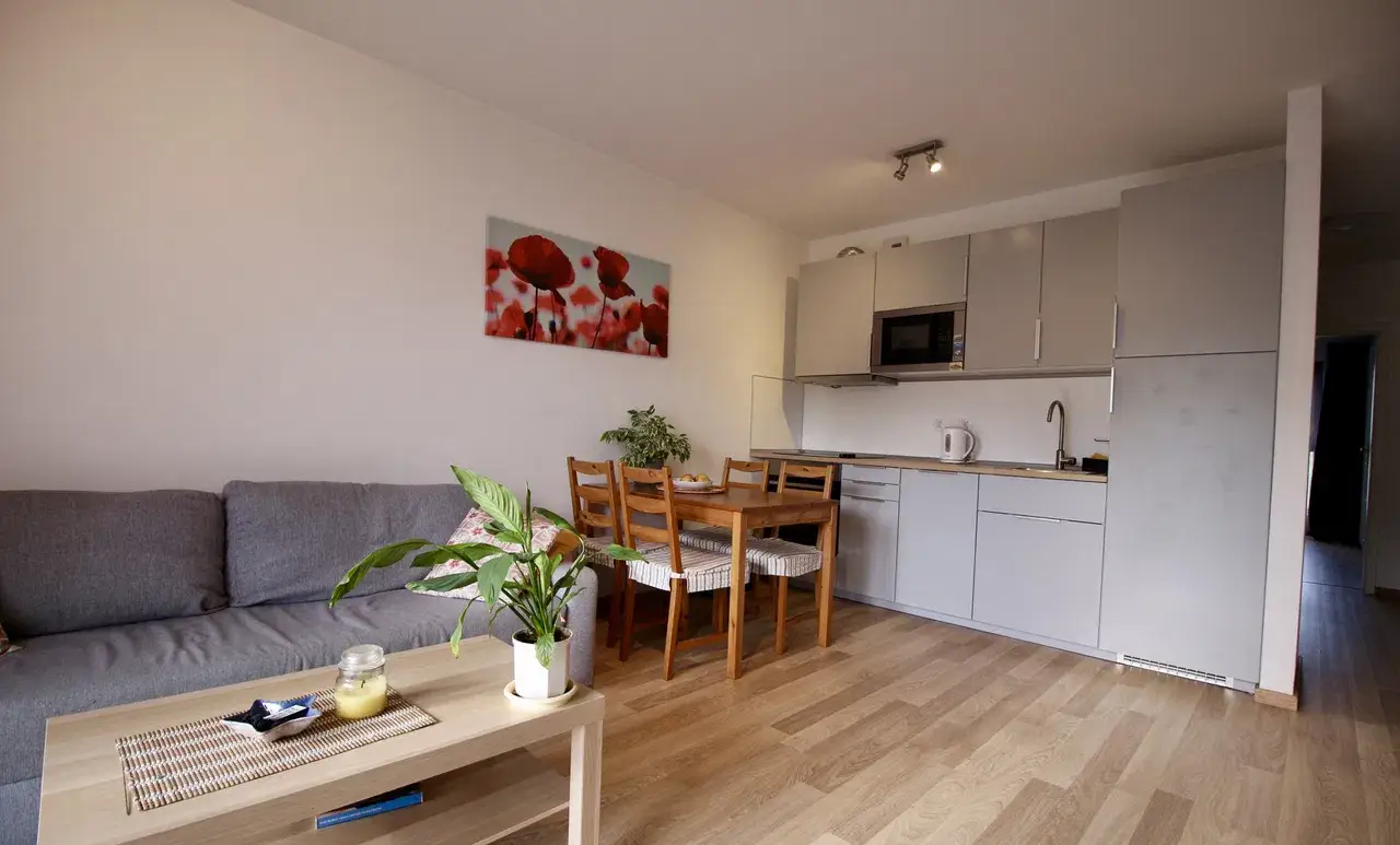 PL/RU 2 Pokoi/Klimatyzacja/Od 1 lipca/Balkon/Obok Wielicka/Garaż - zdjęcie 5