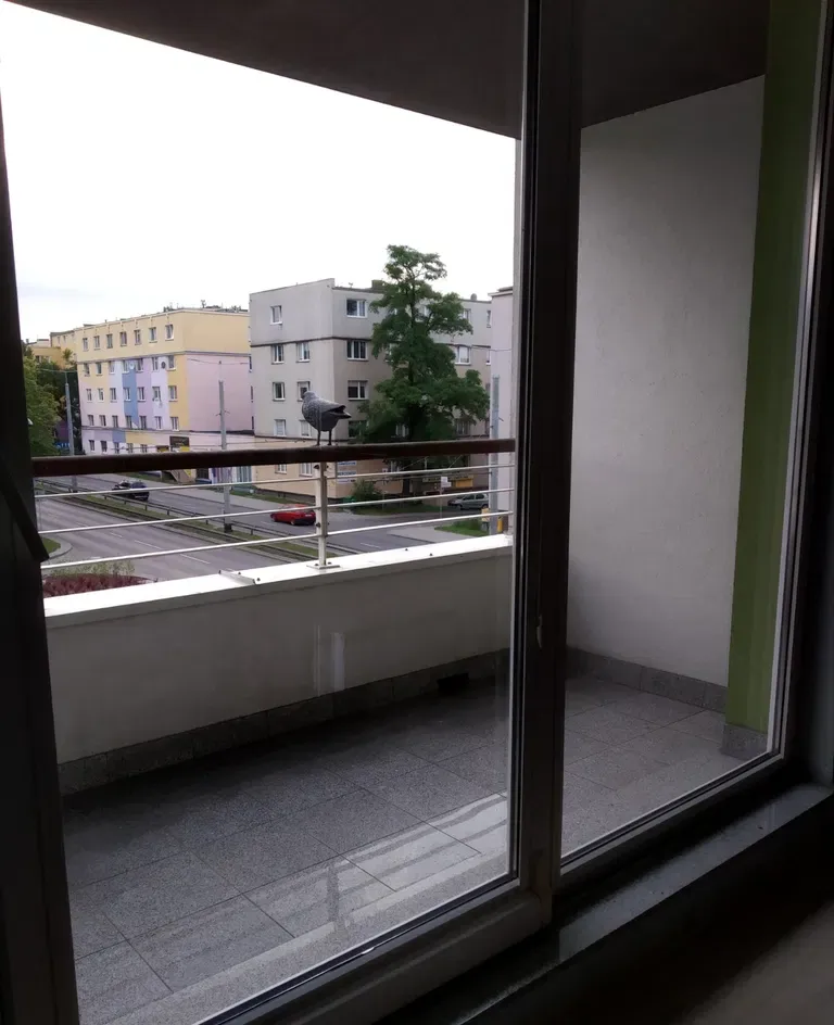 Open'er 2026 | Apartament dla 4 osób | 7 min do SKM | Blisko Festiwalu - zdjęcie 9