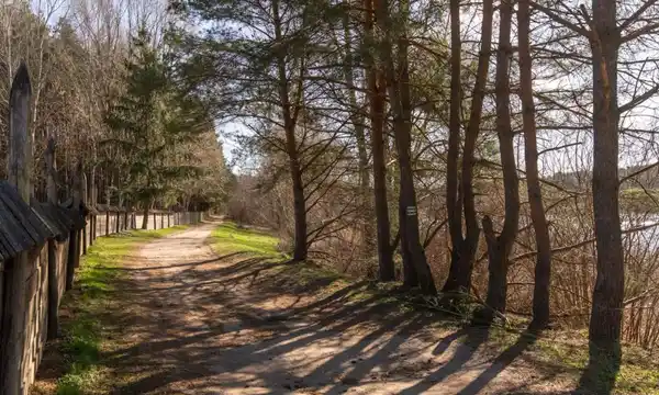 2-pokojowe mieszkanie z ogrodem - zdjęcie 10
