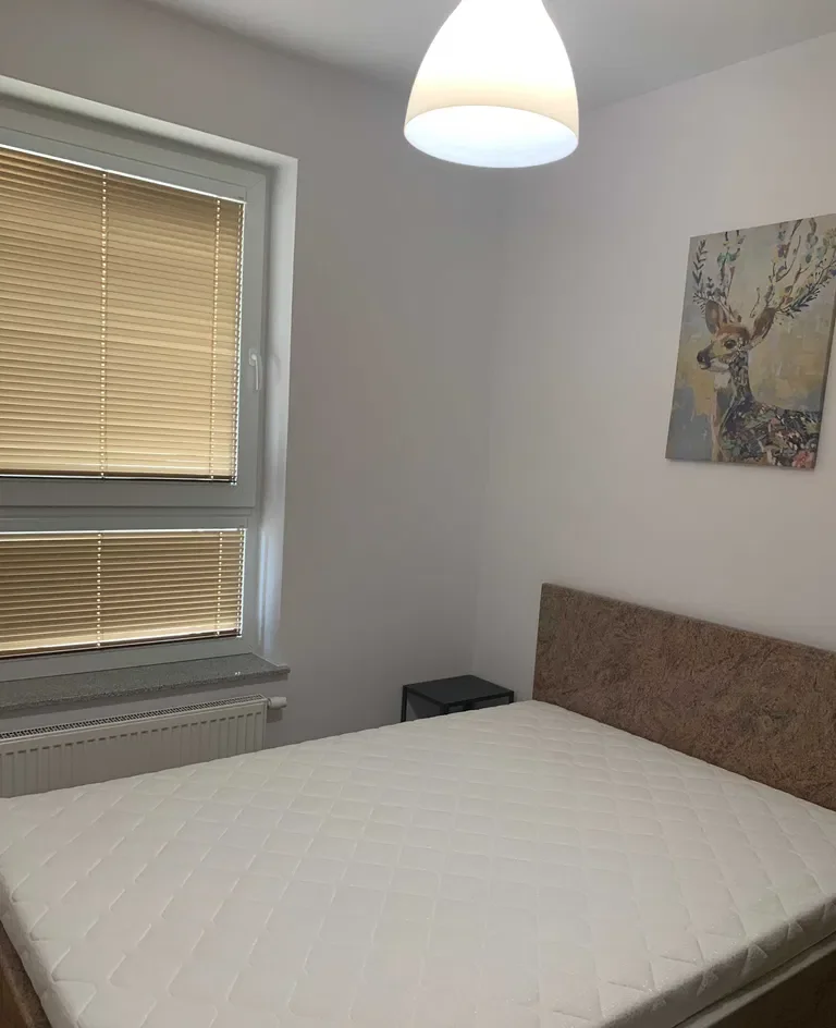 Mieszkanie do wynajęcia SOBOLA BIEL Suwałki - zdjęcie 7