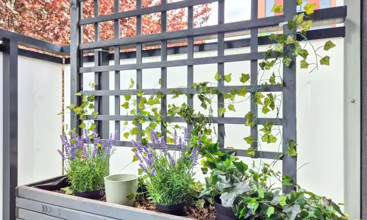 4 pokoje/balkon/centrum - zdjęcie 10
