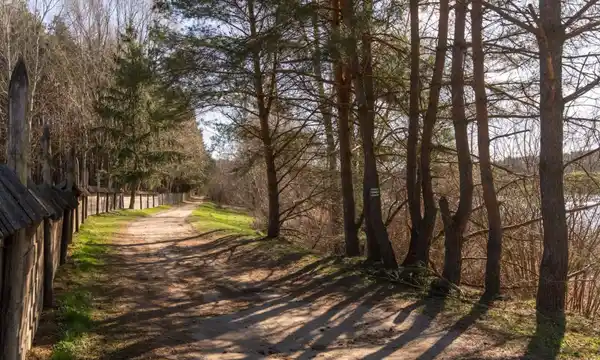2 pok. Kanarkowa, Gutkowo, zwierzęta mile widziane - zdjęcie 9