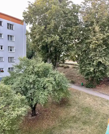 3 pokoje blisko Collegium Medicum UMK - zdjęcie 7