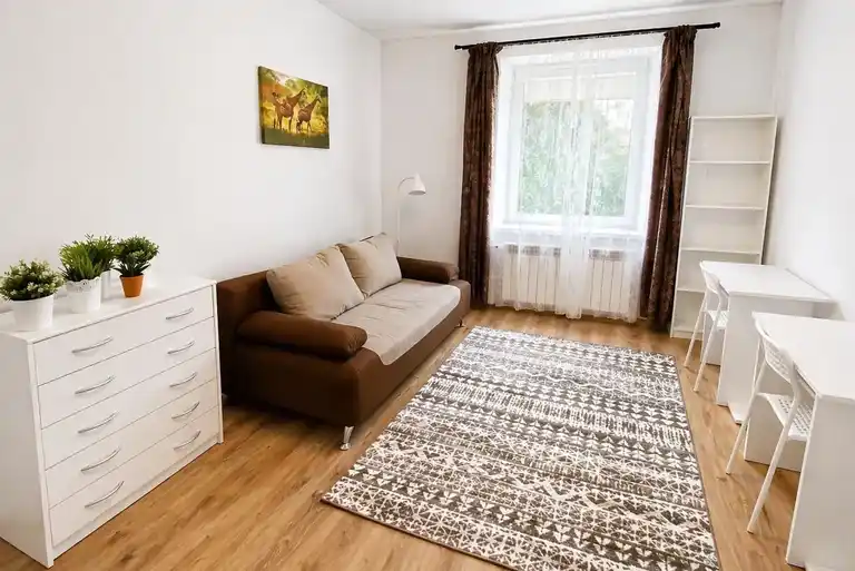 Duży, jasny, cichy pokój - Biskupin / Sępolno - zdjęcie 4