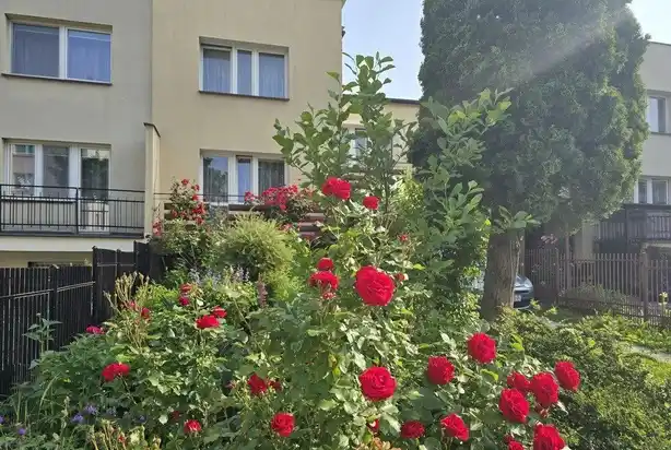 Dom jednorodzinny Busko-Zdrój - zdjęcie 5