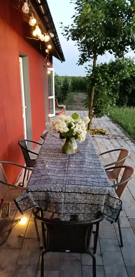 Imprezowy domek bez sąsiadów - zdjęcie 8