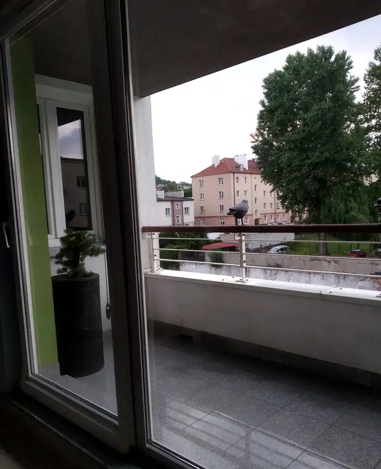 Open'er 2026 | Apartament dla 4 osób | 7 min do SKM | Blisko Festiwalu - zdjęcie 10