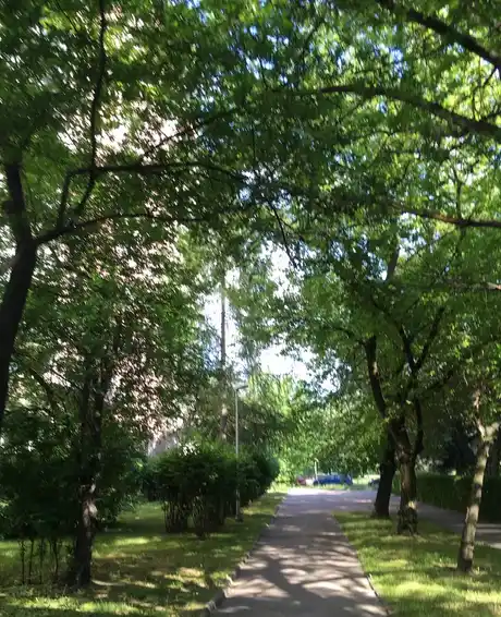 Pokój Sadyba, Mokotów od JUŻ/ tylko Kobiety - zdjęcie 5
