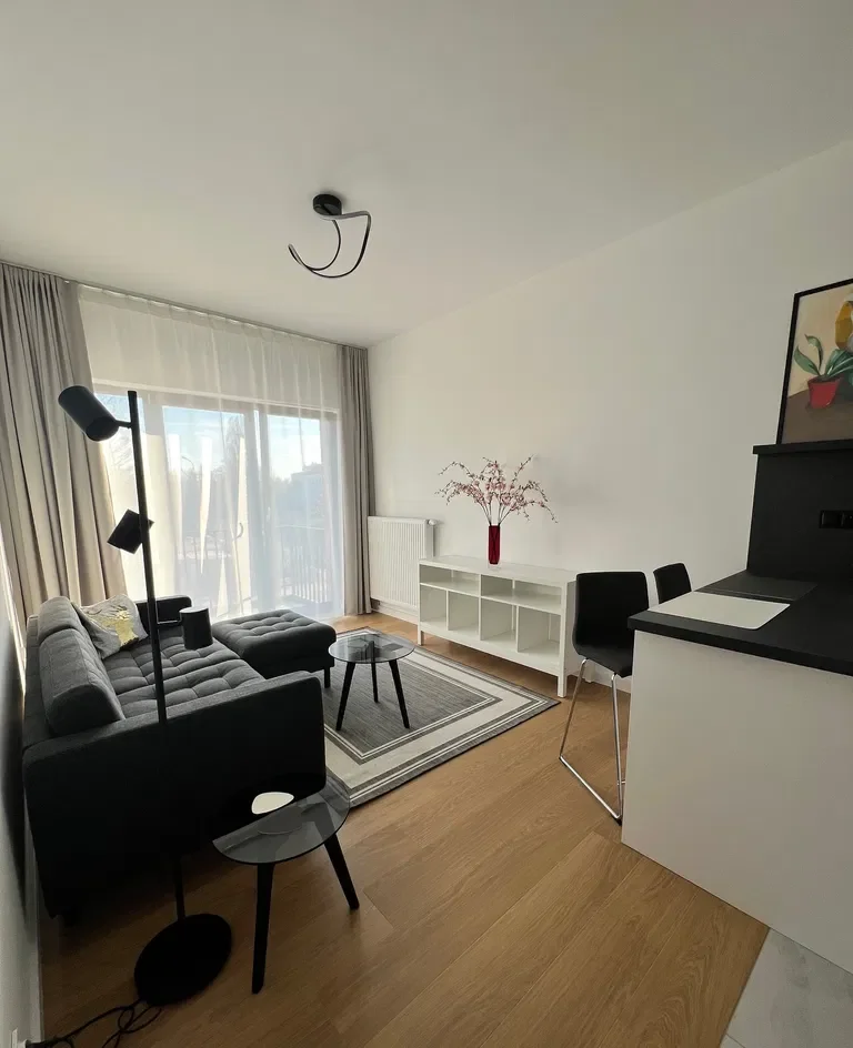 Nowoczesne mieszkanie z tarasem w centrum, pierwszy najemca