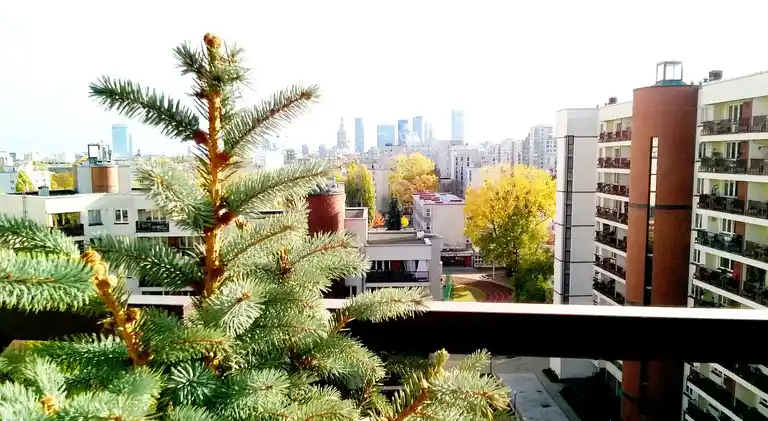 2 komfortowe pokoje z super widokiem na miasto - zdjęcie 8