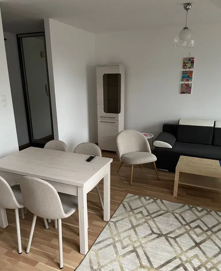 Mieszkanie 46,1 m2 na wynajem, 2 pokoje, Skierniewice - zdjęcie 2