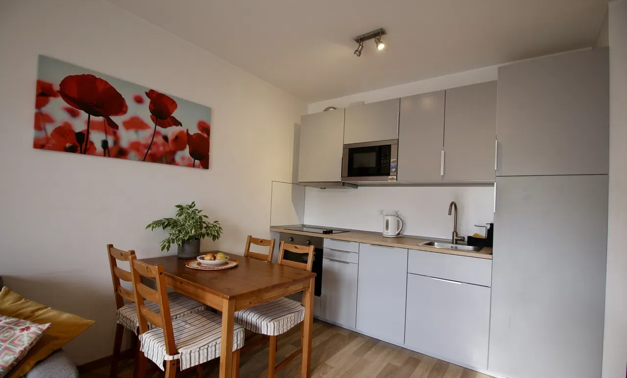 PL/RU 2 Pokoi/Klimatyzacja/Od 1 lipca/Balkon/Obok Wielicka/Garaż - zdjęcie 3