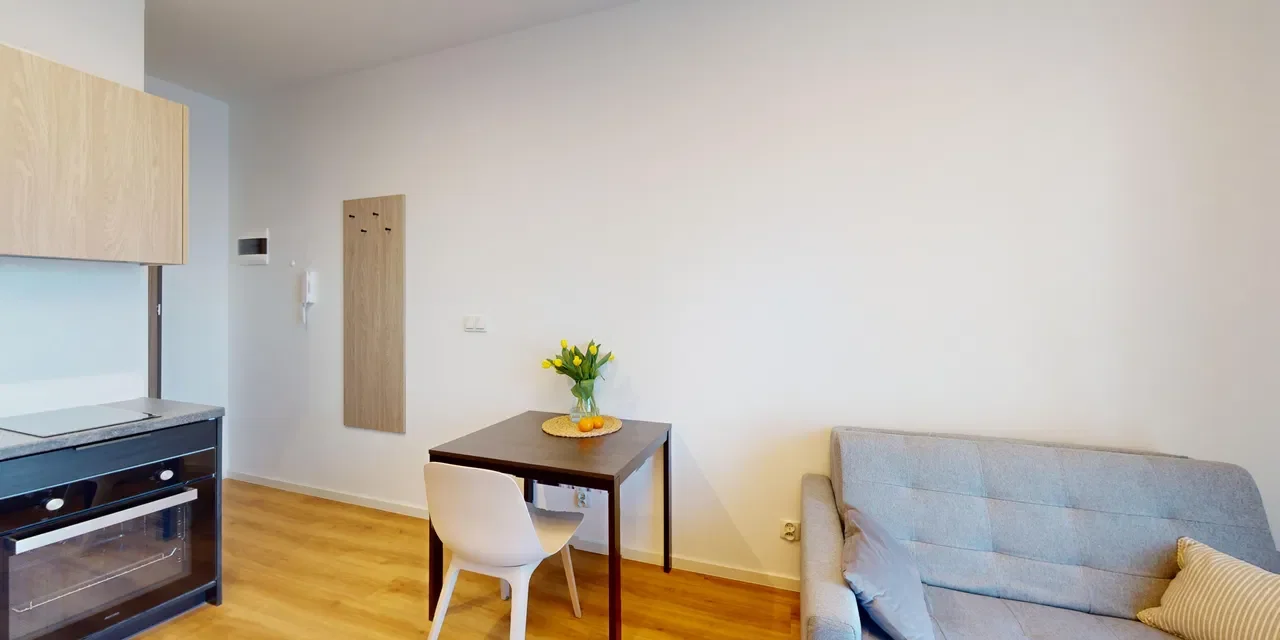 Studio Smart 17m2 IIPet Friendly - zdjęcie 4