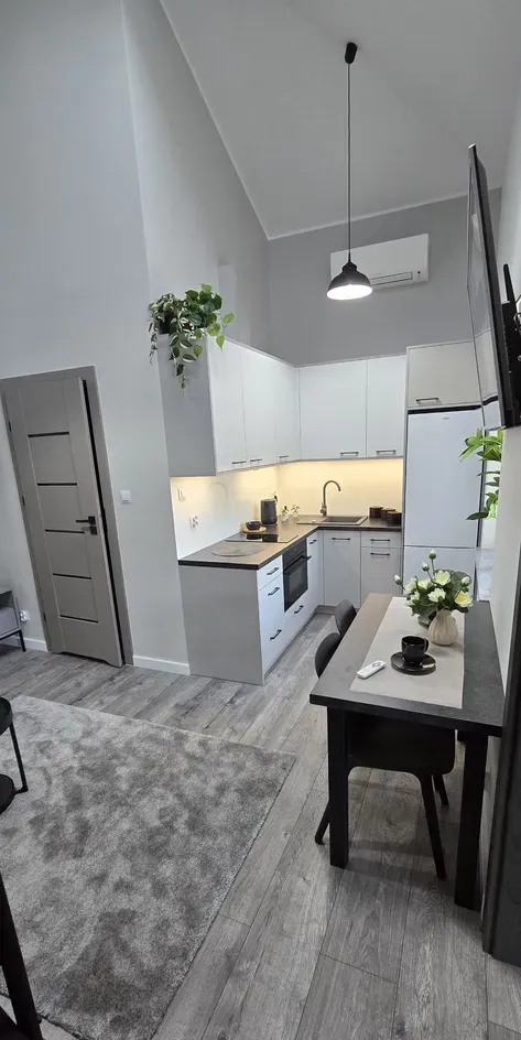 NOWE mieszkanie LOFT, wyposażone, czynsz w cenie, parking Wi-fi - zdjęcie 3