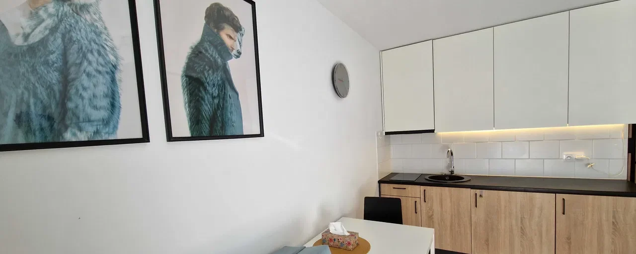 Kawalerka 20m2 w Poznaniu - zdjęcie 2