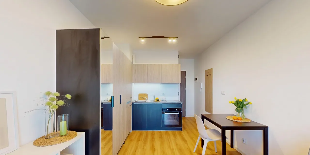 Studio Smart 17m2 IIPet Friendly - zdjęcie 2