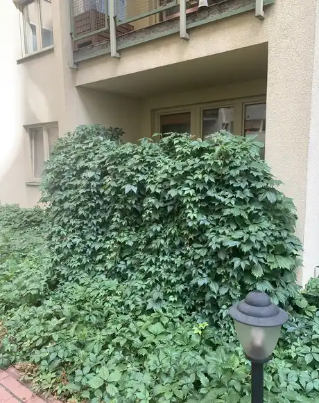 Mieszkanie 2 pokojowe do wynajęcia - zdjęcie 7