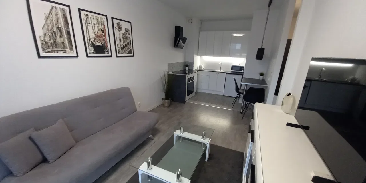 Apartament w Parku nad Kanałem - zdjęcie 3