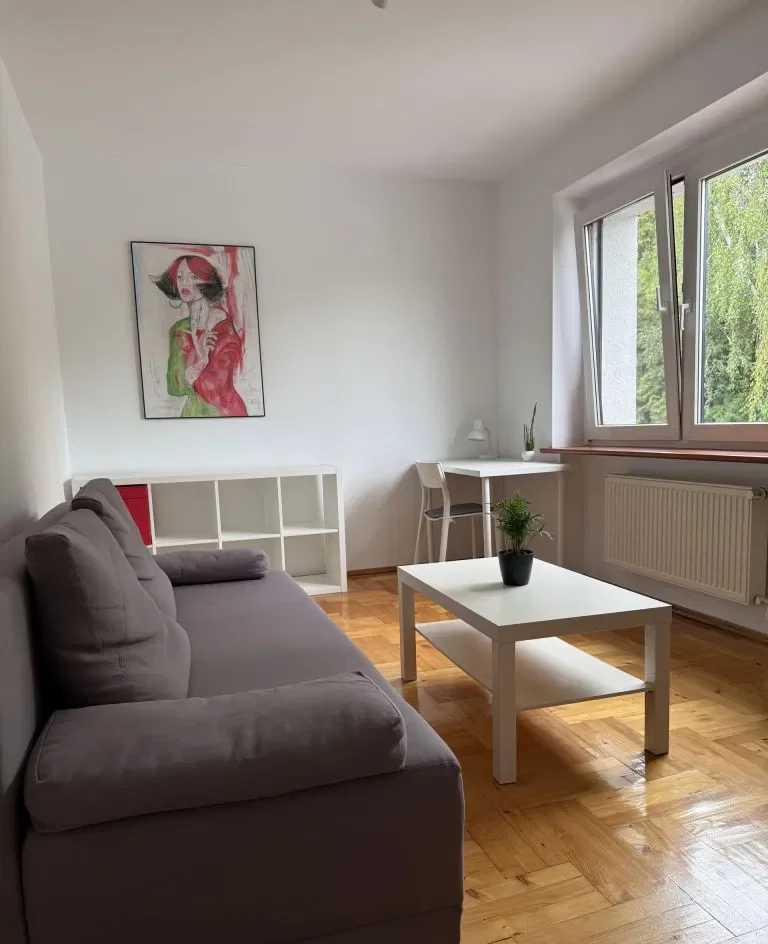 Piątkowo umeblowane w willi 50m2, bezczynszowe, 26 - zdjęcie 7