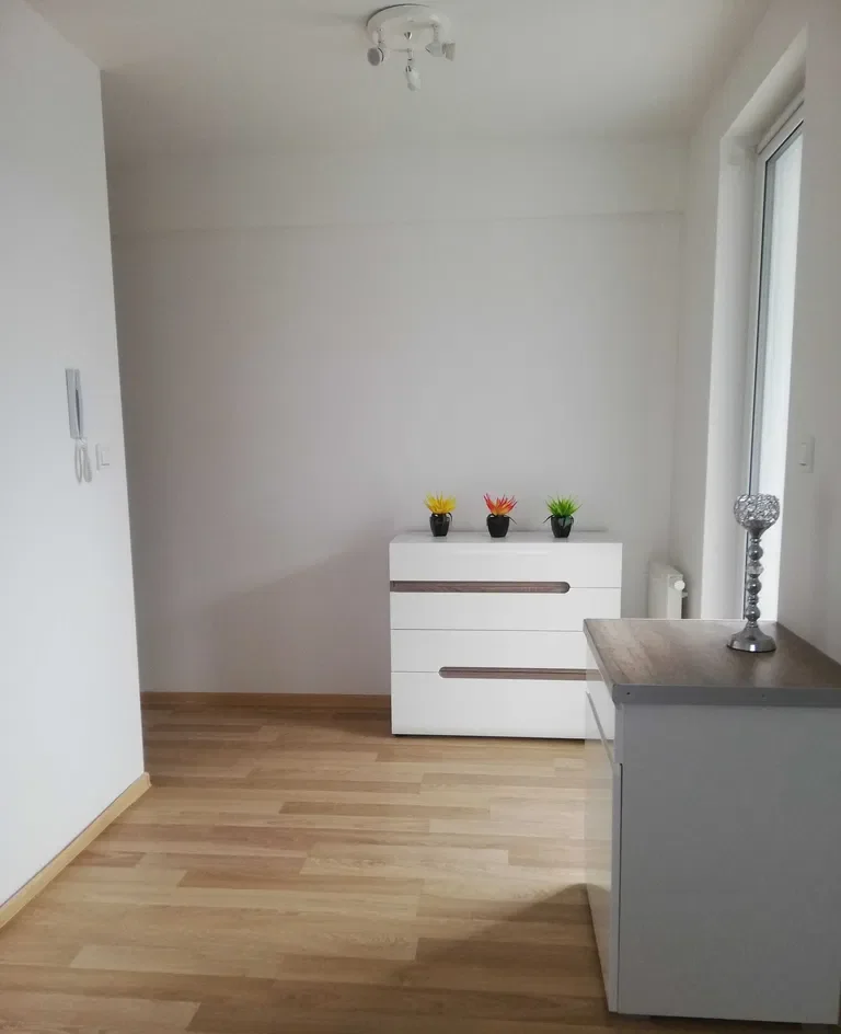 wynajmę nowe mieszkanie - zdjęcie 2
