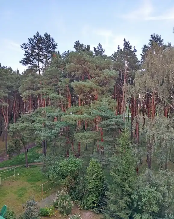 Mieszkanie 54 m², 4 pokoje – Osiedle Leśne, Bydgoszcz - zdjęcie 6