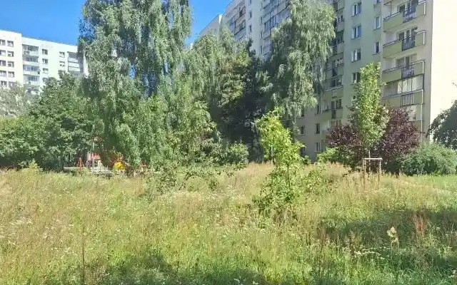 Po generalnym, bdb. standard, bdp komunikacja - zdjęcie 10