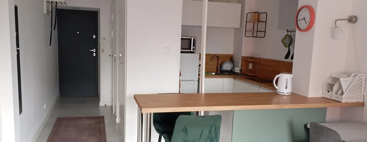 Kawalerka do wynajęcia przy ulicy Świdnickiej - zdjęcie 3