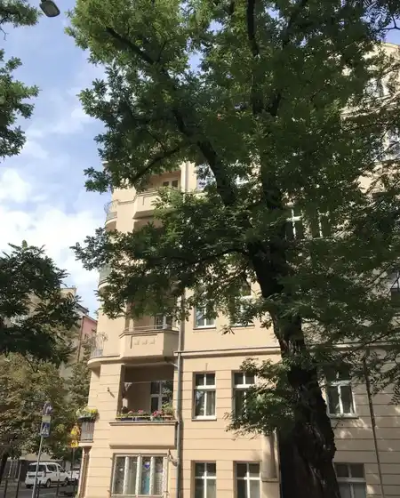 2 pokoje, mieszkanie na wynajem - Poznań, Grunwald, Łazarz - zdjęcie 9
