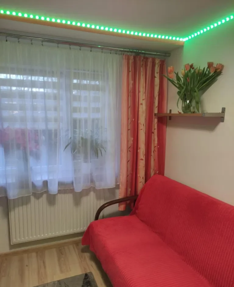Pokój jednoosobowy - zdjęcie 2