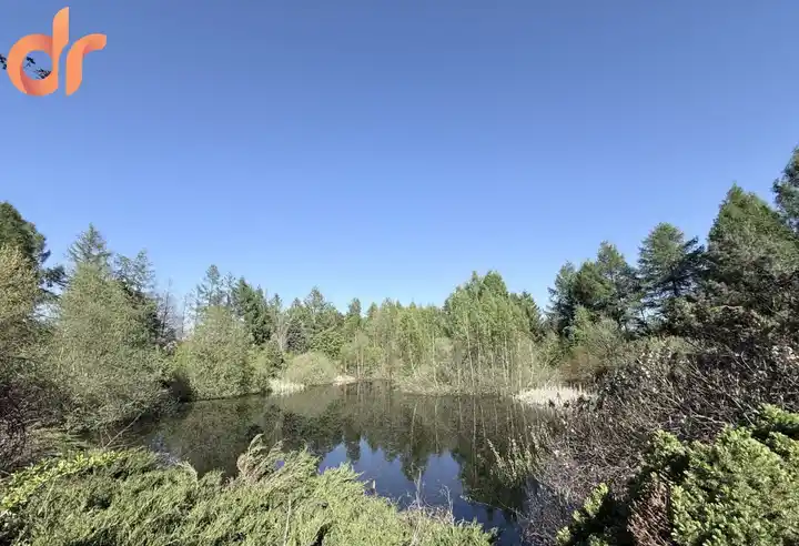 Niestępowo - dom na ogromnej działce 16 850 m2 - zdjęcie 3