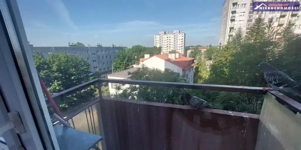 Mieszkanie 2 pokoje, kuchnia 46m2 przy ul. Polnej - zdjęcie 9