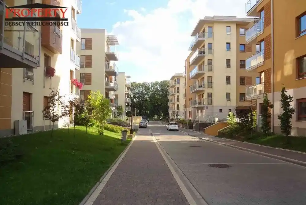 Apartament - Salon Z Aneksem Sypialnym, Kuchnia - zdjęcie 10