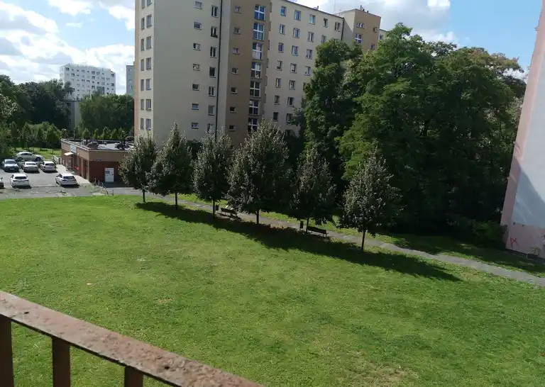 Duży pokój do wynajęcia w mieszkaniu trzypokojowym - zdjęcie 9