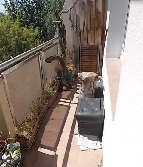 Sosnowiec Niwka, pokój dwuosobowy - zdjęcie 3