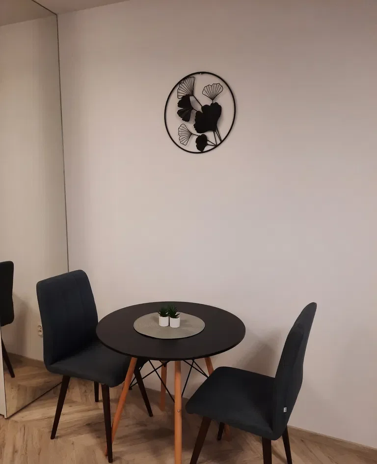 Wynajmę kawalerkę dla singla lub pary - zdjęcie 8
