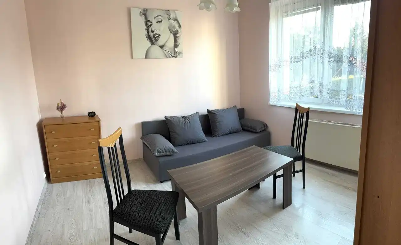 Pokój jednoosobowy w centrum Torunia - zdjęcie 3