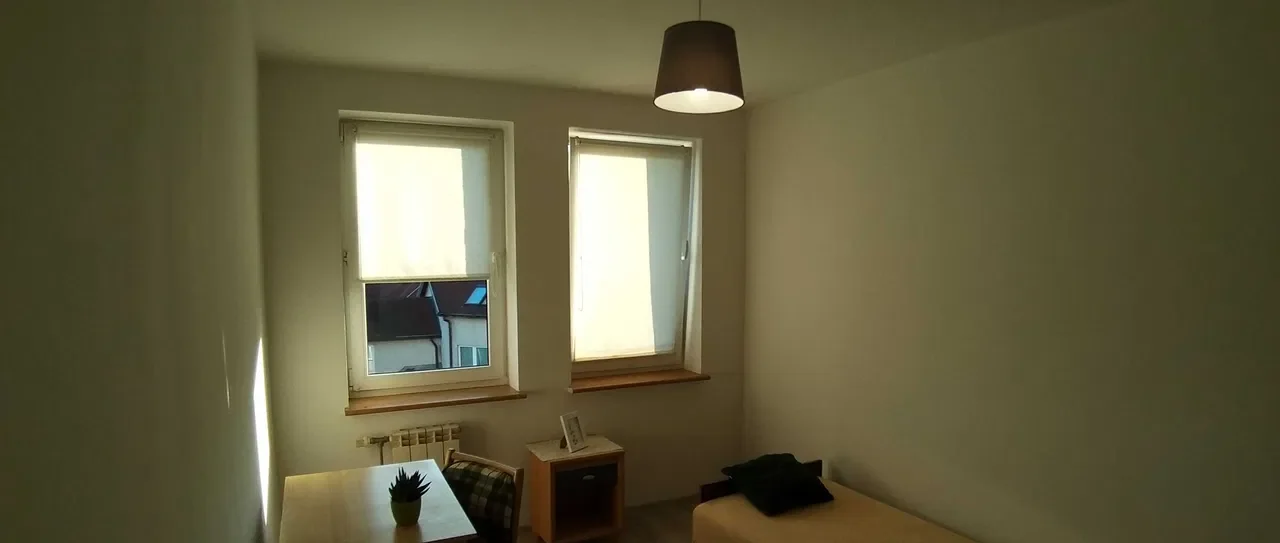 Fajny pokój dla osoby lubiącej koty, Prądnik Czerwony - zdjęcie 2