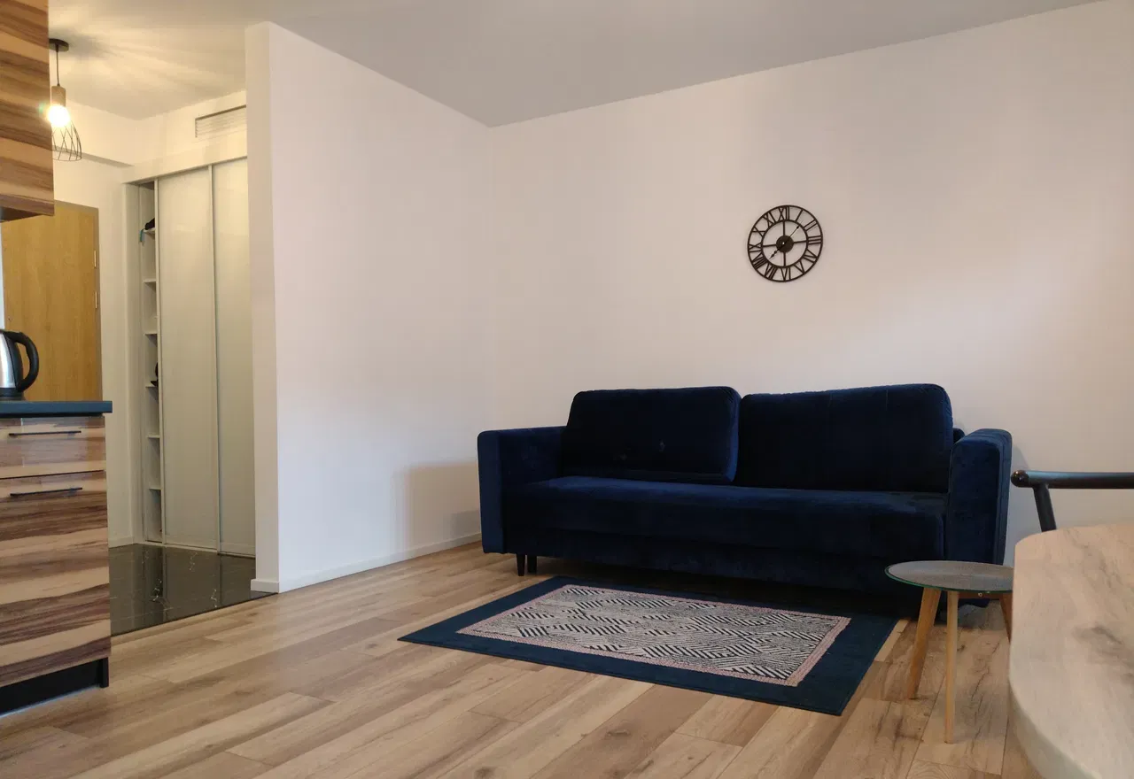 Mieszkanie 30m2, 1 pokój, Łódź, Narutowicza - zdjęcie 3