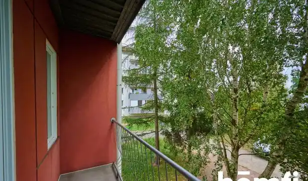 Przyjemne mieszkanie 3 pok z balkonem - Zakrzów - zdjęcie 3