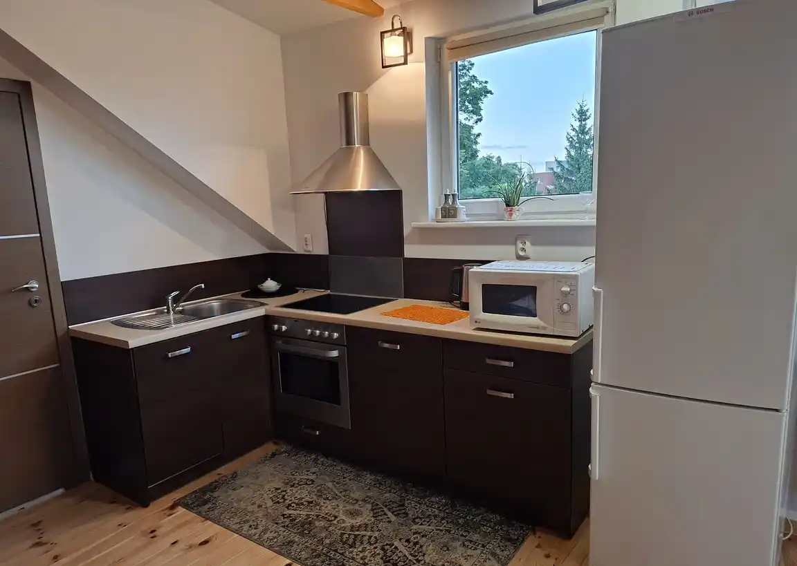 Przestronny apartament w otoczeniu jezior i lasów – Olsztyn (Dajtki) - zdjęcie 7
