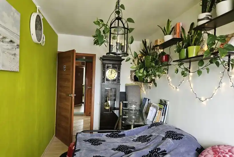Mieszkanie na Grunwaldzie z balkonem i piwnicą - zdjęcie 6